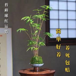 �t��̦�\�^�������������҃��辰�����͏d�����ļ��������˾Gֲ