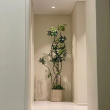 _ľ˷ؔԾGֲ҃ȿ͏dk^