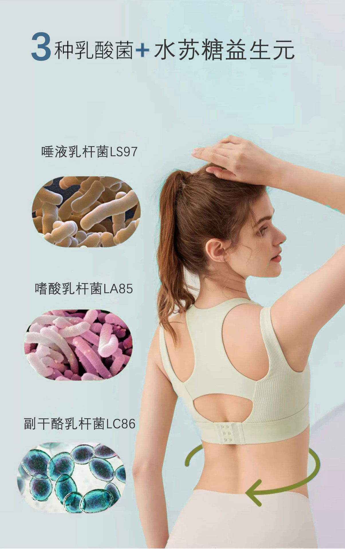 Probiotic Enzyme Powder (Taiwan-Style Fruit & Vegetable Blend) — Dietary Fiber Drink Mix key features