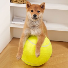 犬用おもちゃボール テンタイムハッピーボール 特大テニスボール 犬の退屈を和らげる 柴犬 コーギー フレンチブルドッグ ペット用品
