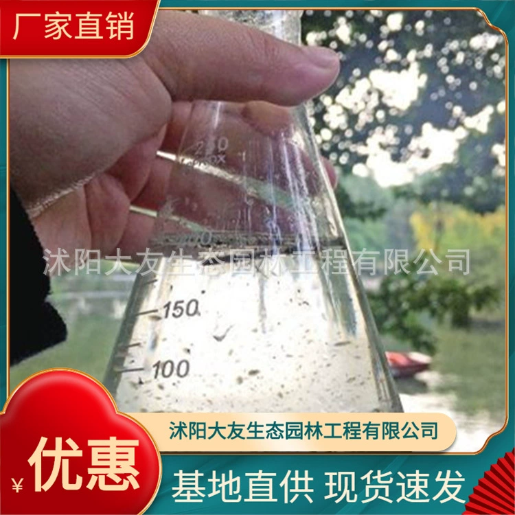 Поставка планктона Daphnia Magna водоросли, питающиеся насекомыми Daphnia обеспечивает технологию очистки насекомых, питающихся водорослями