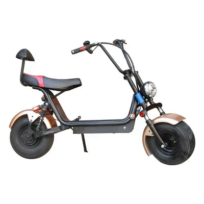Harley-Style Electric Scooter, Elektrikli motosikletlər