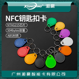 No. 3 NTAG215 key chain card NFC tag 504 bytes NTAG215 one touch transmission NTAG215 game card