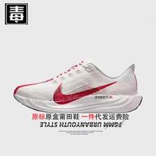 Ʒ͌ajЬPegasusŮЬplusWwRᘿRɼԭ^