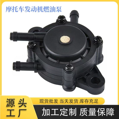 Other starting systems — fuel pump 491922 691034