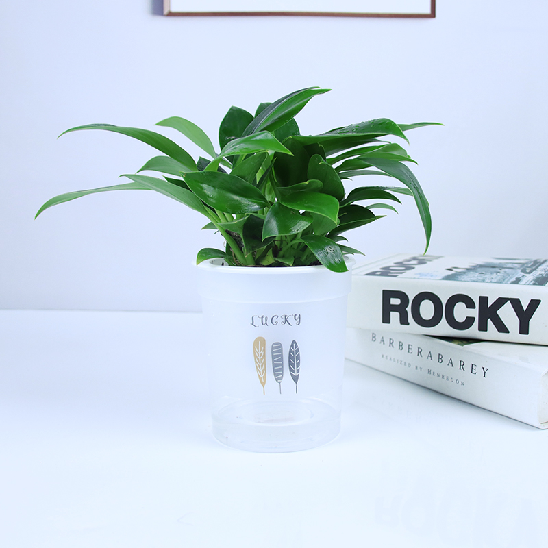 금다이아몬드 3개 + 깃털흡수대 + 영양액✓