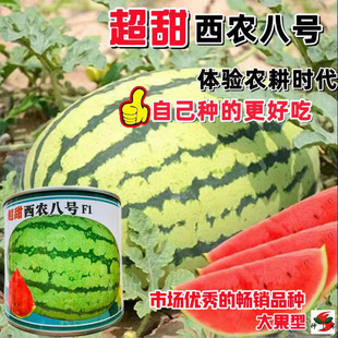 ����8424�������ϷN�����Ϸ��ļ��߮a�ش���Нh����Ƥ���ϷN��