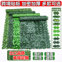 �羳����h�ʾ�ֲ��h�ʖř������~�ӷ���Gֲ�b����ړ��쾰