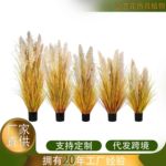 天然芦苇盆景干花批发真商场橱窗装饰婚庆洋葱草蒲苇草盆栽