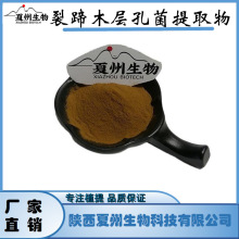 裂蹄木层孔菌提取物 10/20/30:1  现货 另有多规格 kg装 夏州生物