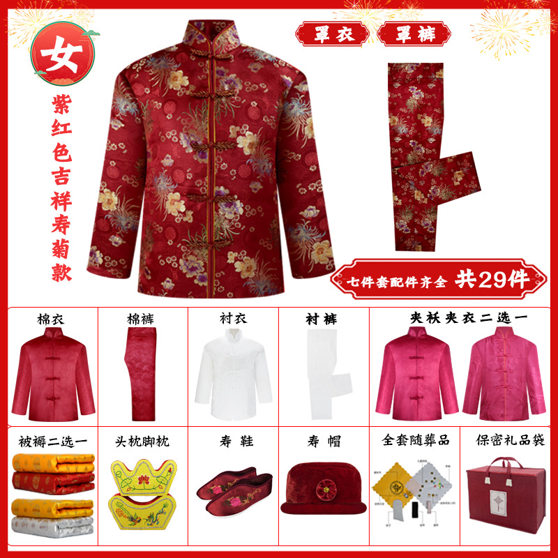 吉祥壽菊紫紅色