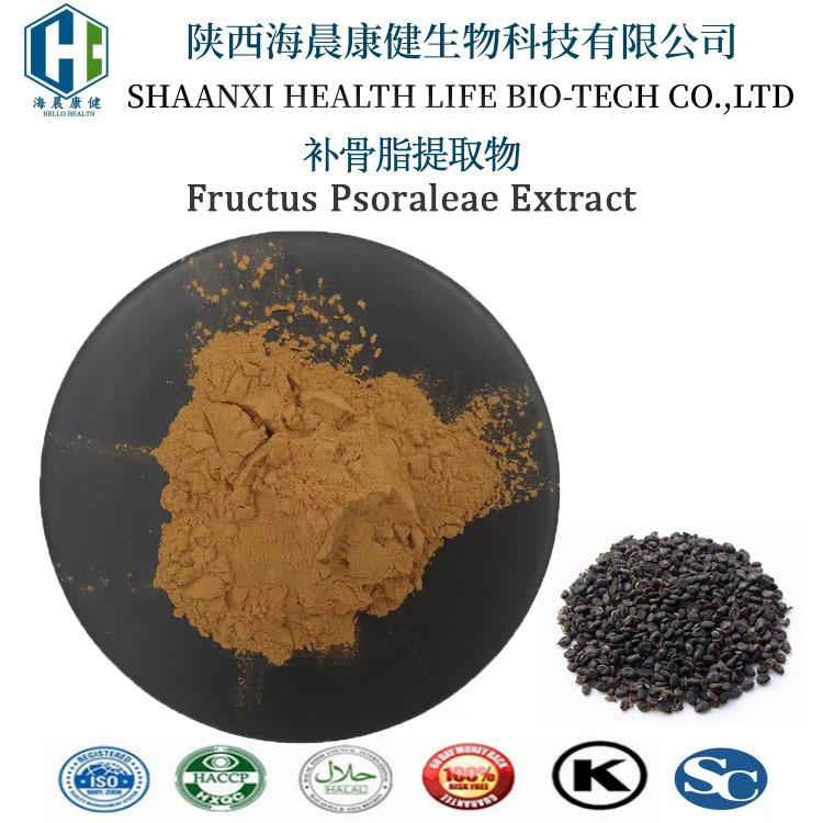 补骨脂提取物10：1 补骨脂素保健品原料补骨脂萃取物工厂海晨康健