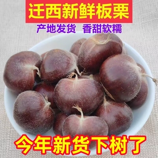 2024����؛�Fժ���������r��������Ұ�����ڴ������ӱ���ɽ������