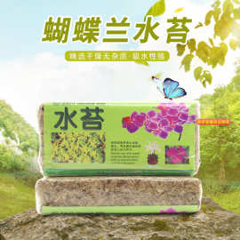 批发 水苔干苔藓蝴蝶兰花专用介质 水草蝴蝶兰栽培基质兰花营养土