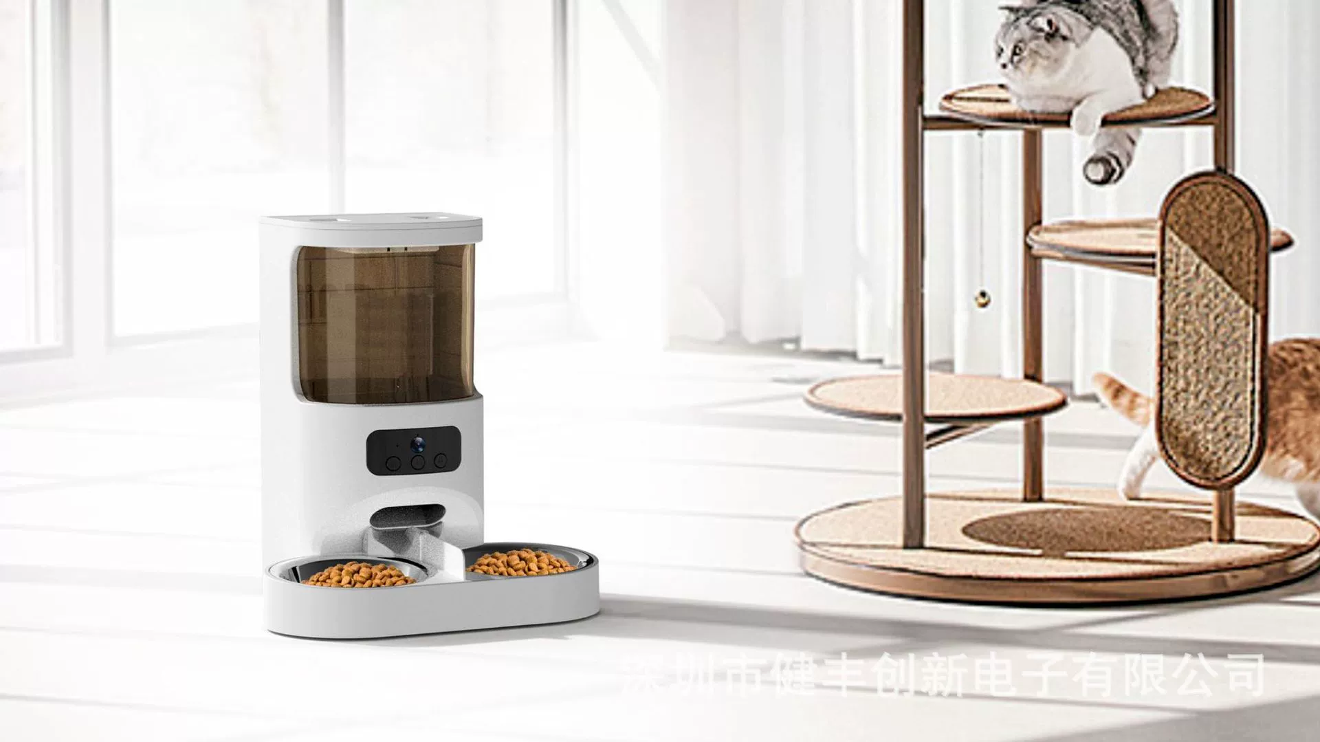 4L Двойная чаша Автоматическая кормушка для домашних животных Кошки и собаки Сроки Количественная Кнопка подачи Дистанционная Кнопка WiFi Видео Миска для кормления