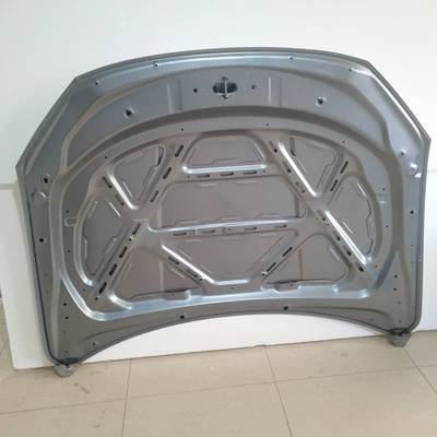 cover QINPLUS EV – Car shell