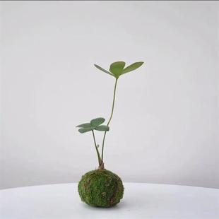 Mexican Iron Moss Ball/Two-Leaf Four-Leaf Clover Nordic Style Indoor Mini Plant Office Random
