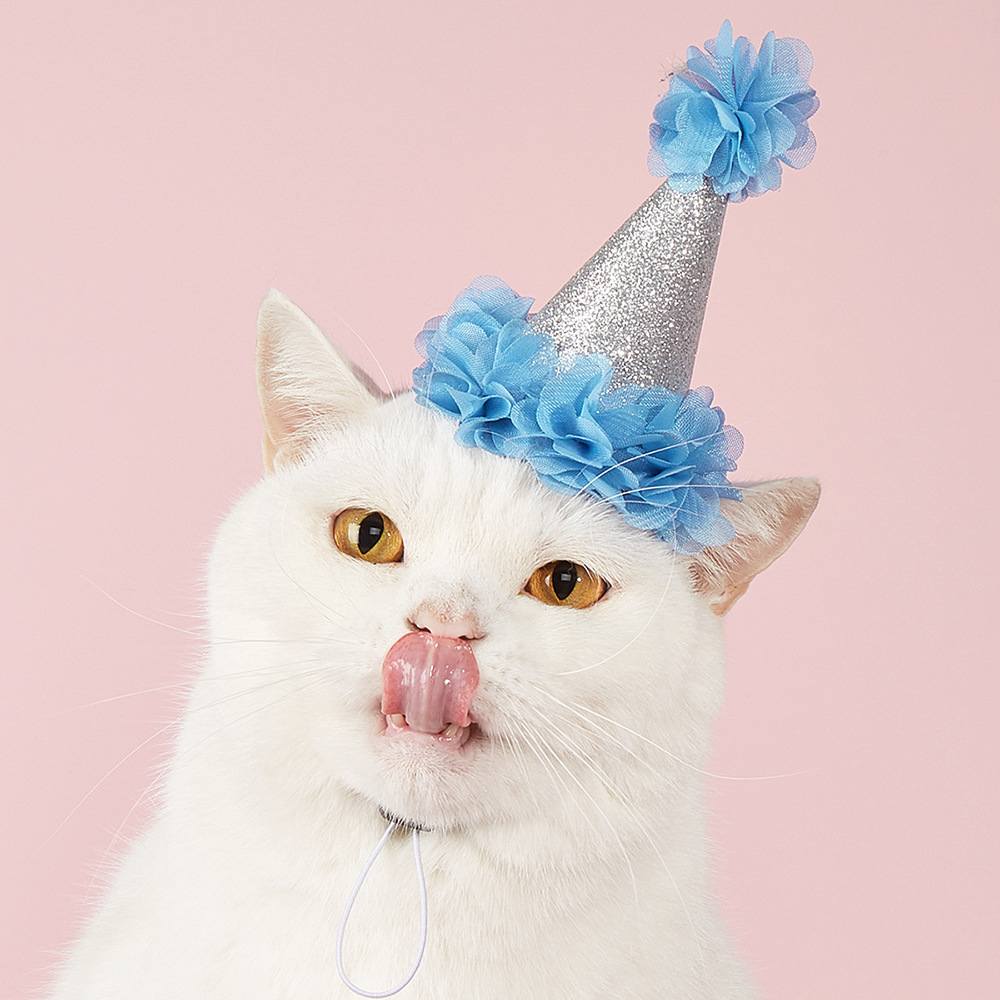 Tanpopo transfronterizo cumpleaños flor ins estilo floral mascota perro sombrero impreso ropa para mascotas