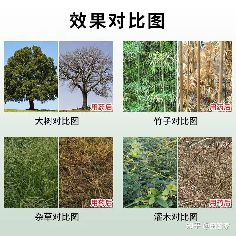 14.环嗪酮对比图