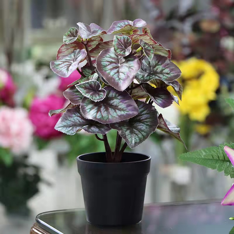 O1CN01mB8wuM1watrB6lMaM_!!2212