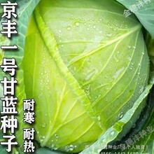 ���Sһ̖���{�N�Ӿ��Ĳ˷N�ѾG���{���˷N��ԭ�b�ļ��߲˷N�Ӵ�ȫ