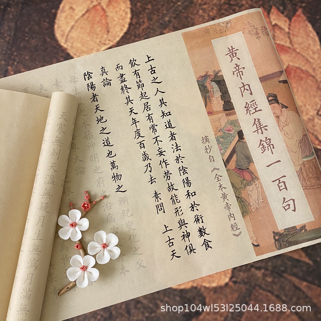 黄帝内经毛笔字帖描红集锦一百句中医练字帖医学类医学字帖医学类