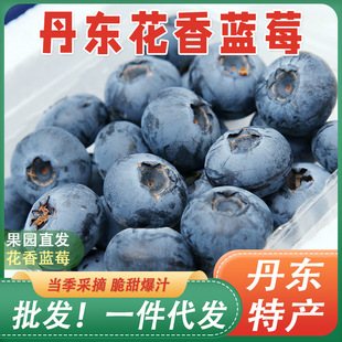 ���|�{ݮ���rˮ�������{÷�r��ժ�ЋD���������a���]