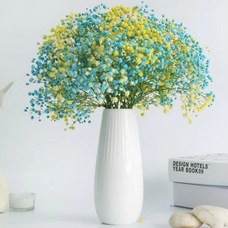 Yunnan lleno de flores secas, no olvides mi decoración de la casa, flores frescas, flores verdaderas, flores secas y verdaderas