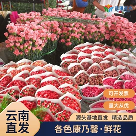 鲜切花;干花;园艺工具