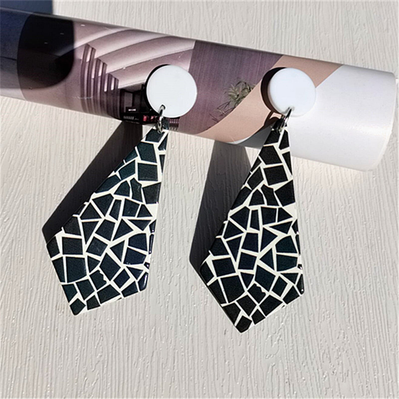 9g Weight 1 Pair Fashion Color Block Arylic Drop Earrings