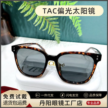 大牌同款偏光太阳镜TY05F开车高级感墨镜女防紫外线可配度数批发