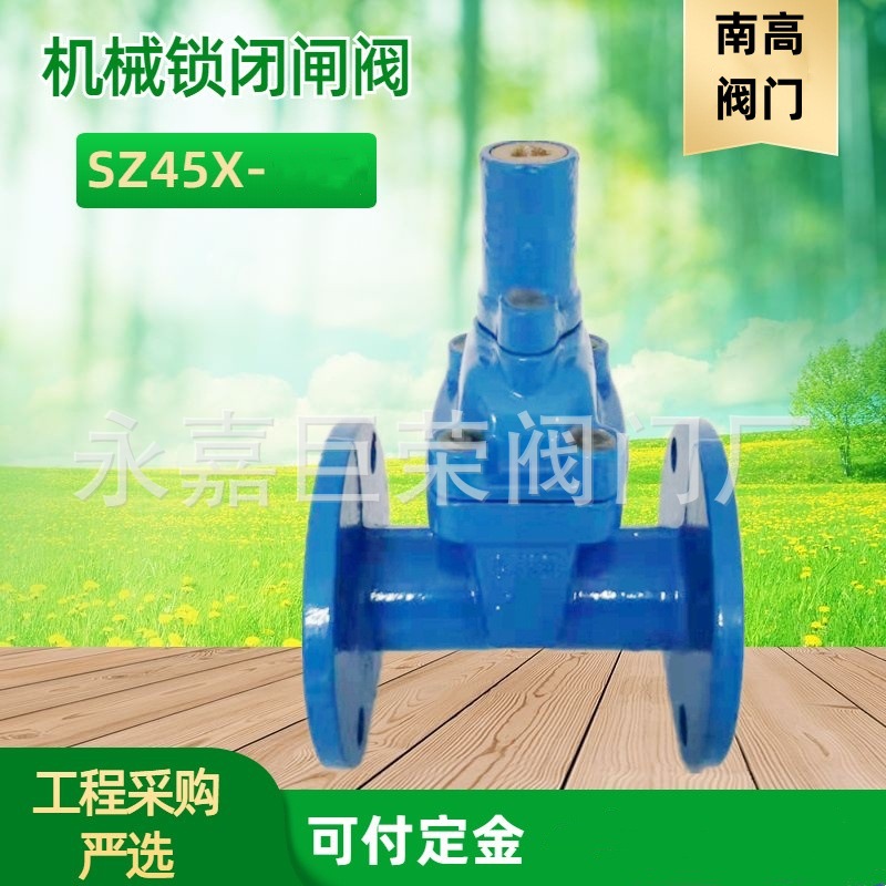 SZ45X-25Q加长杆球墨铸铁弹性座封软密封水利闸阀DN50-DN1200
