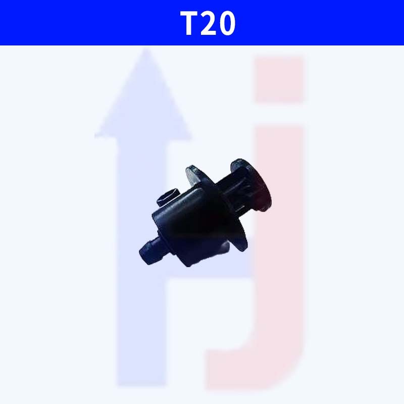 T20