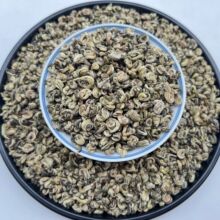 新茶广西横县厂家直销批发白玉螺 茉莉玉螺 茉莉花茶浓香型玉螺王