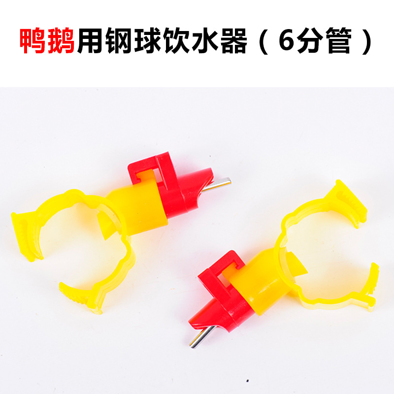 Fuente de consumición automática de la taza de la manguera de alimentación automática de la taza para el pollo