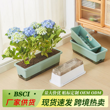 �̨�N���茣����������ϴ�̖�Nֲ���߲��L���Α����Ԅ���ˮ����