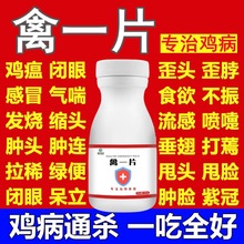 禽一片鸡鸭鹅鸡瘟感冒呼噜咳嗽无精打采鸡药大全特效禽药急救一片