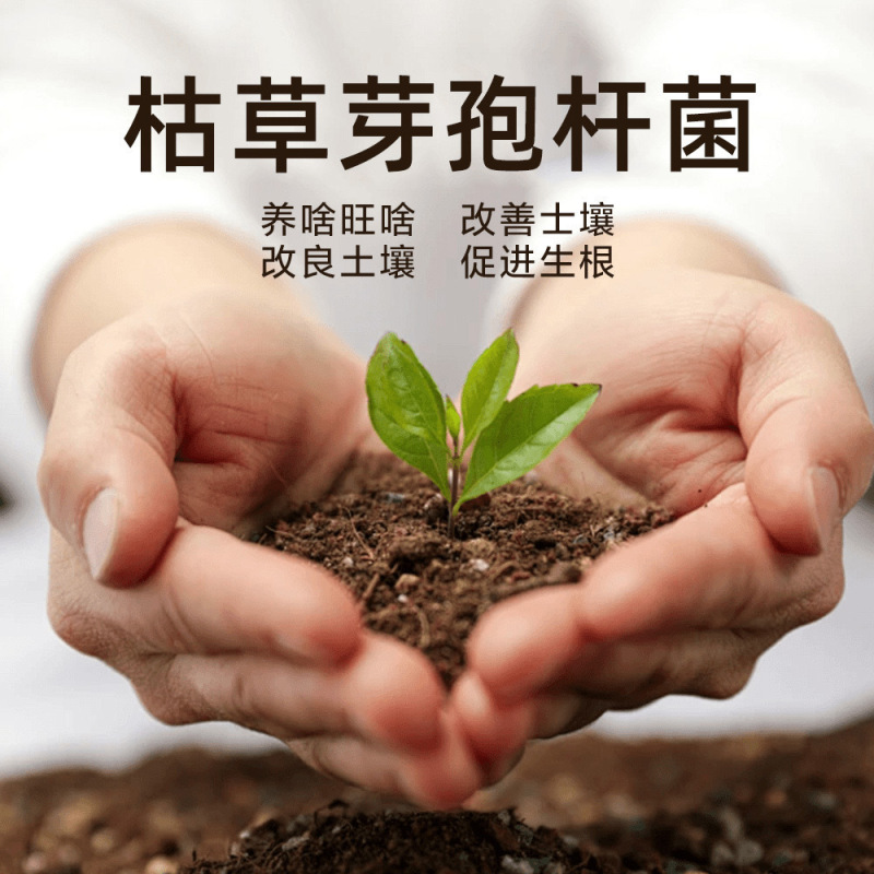 卸売り艾尚株枯草芽胞菌微生物菌剤改良土壌発根壮苗土壌改良剤肥料|undefined