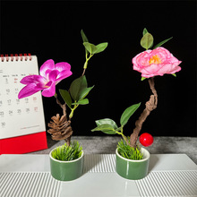 �Ƶ���ϯ�P��������ϻ��b���ɫ��Ʒ�c�Y�P�^���⾳��߅С�[��