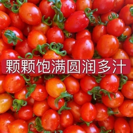 柚;香蕉;番石榴/芭乐