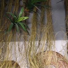 ���滨 �ٽz�l �͏d������{�ܵ��̨ܛ�b��̵���ֲ�������ٻ�