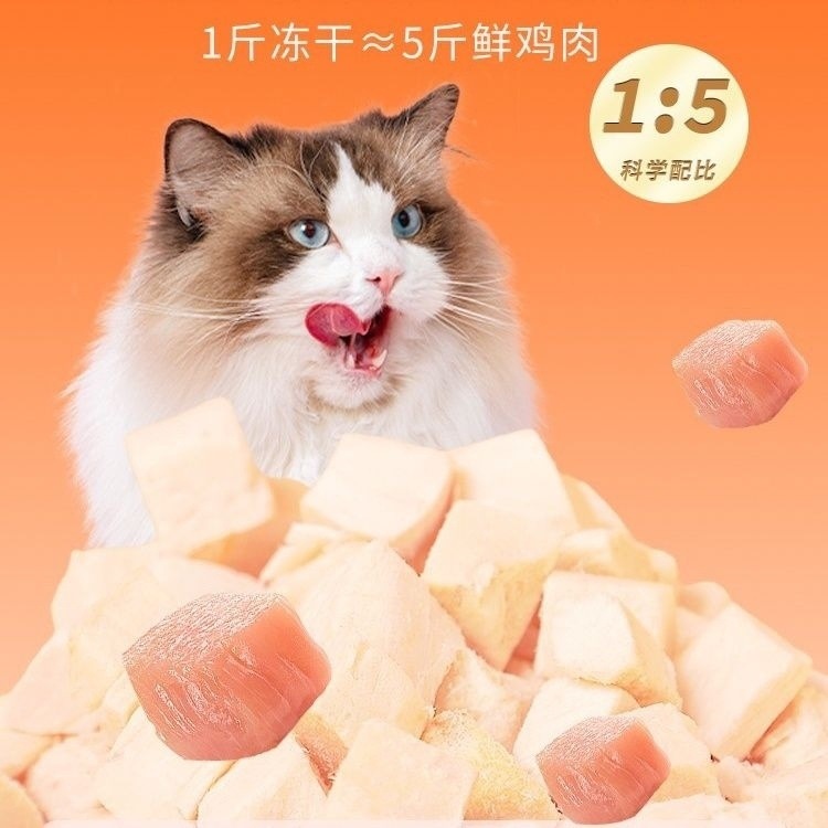 1afc985f-05b4-4a69-959f-b841b7165fff.jpe