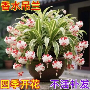 ������ˮ���m�N���ͺ�����B���Ի����_���ļ��_�����B�Ļ�����