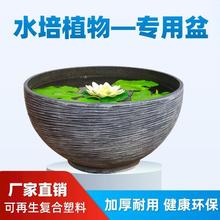 碗莲盆睡莲花盆水培塑料莲花盆专用盆无孔荷花缸无孔大口径养鱼盆