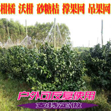 �ָ̓ι��W���ٵ����W���ҽ��������ۗ�÷â����ι��W�����W�r��