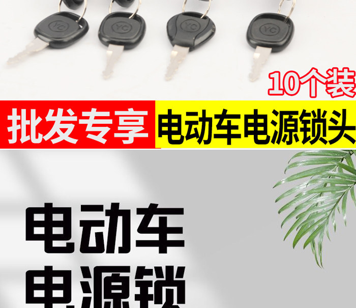 【Pack of 10】Electric Vehicle Ignition Locks Wholesale Power Locks Two-Wire Three-Wire Universal Small Medium Large Lock Accessories