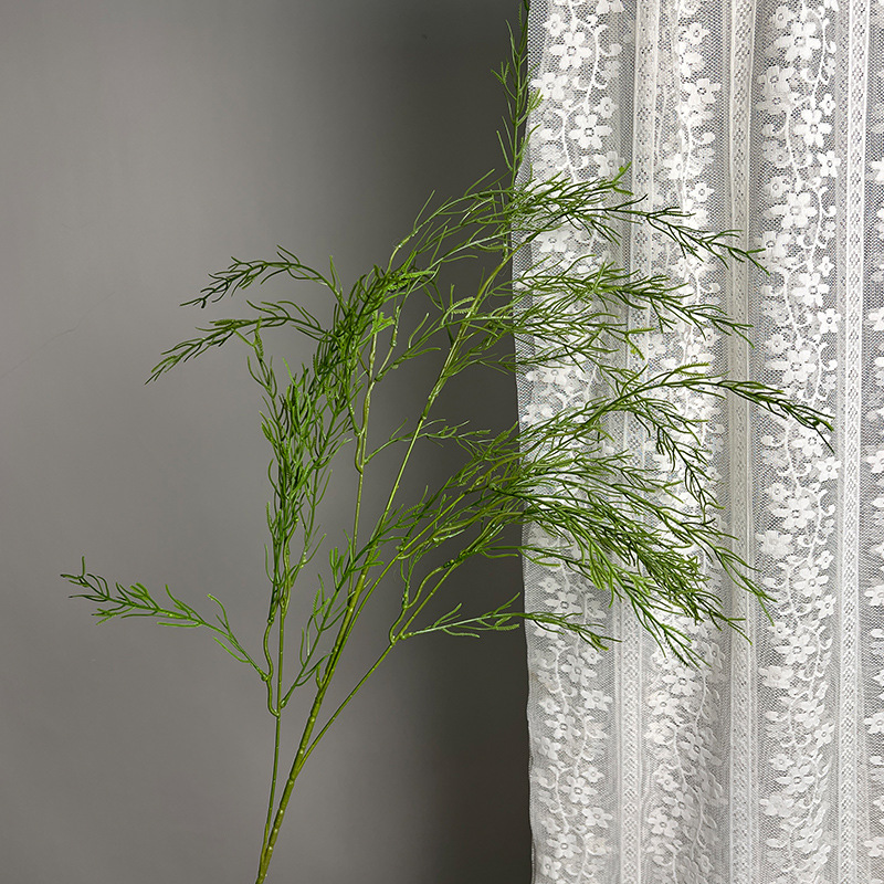 큰 가지 갈대 - 녹색