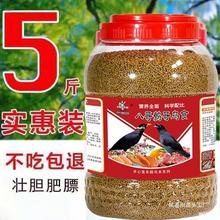 ����������׳Ͱװ�Ӹ���ʳ����ü��ʳ��ü�Ӹ�˸�˸����