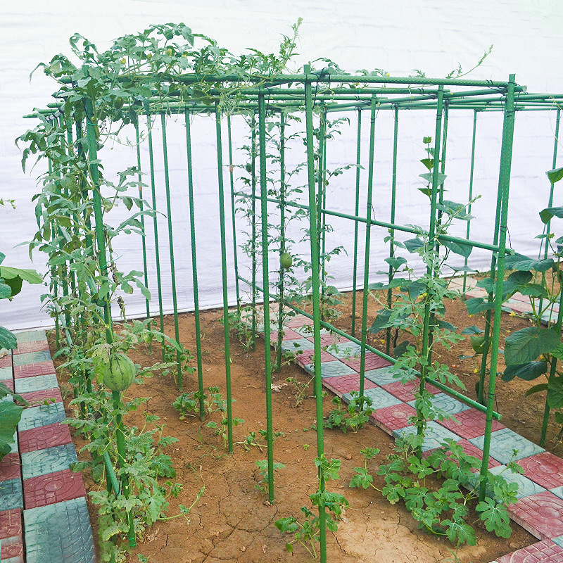 キュウリの豆の角の藤の棚のブドウの棚の四季の豆の花の棚の庭の屋外の支持のメロンの棚の植物の支持の棒|undefined