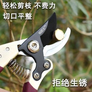 果树枝剪刀修枝剪刀粗枝剪树剪子剪刀剪枝花卉绿化园艺剪刀厂批发-阿里巴巴